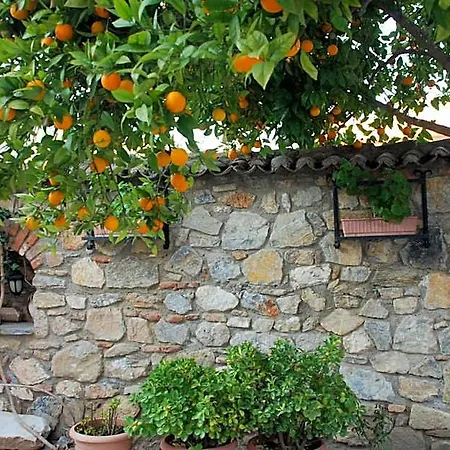 Nazar Szálloda Selçuk