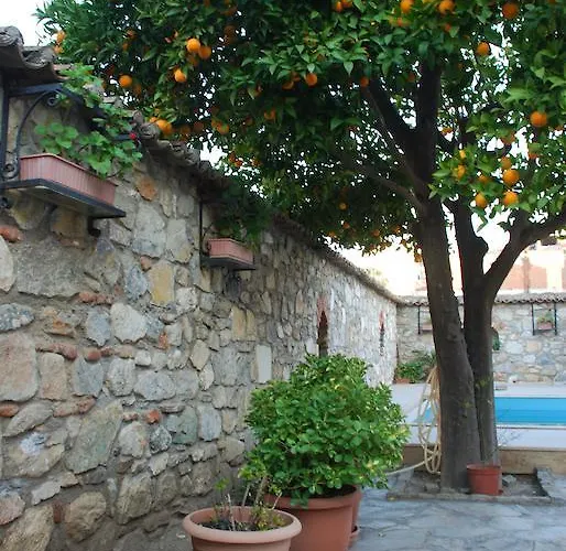 酒店 纳扎尔酒店 塞尔丘克