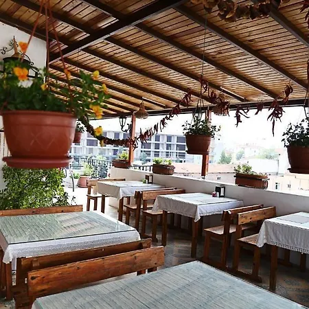 Nazar セルチュク