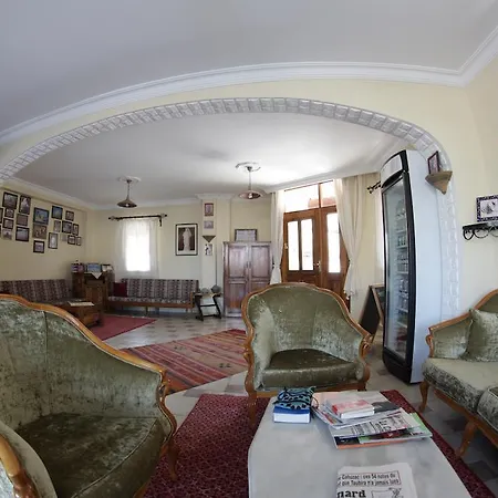 Nazar セルチュク