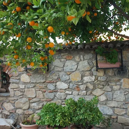 Nazar Selcuk